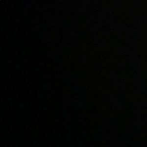 Meet your Posher, Lizbeth